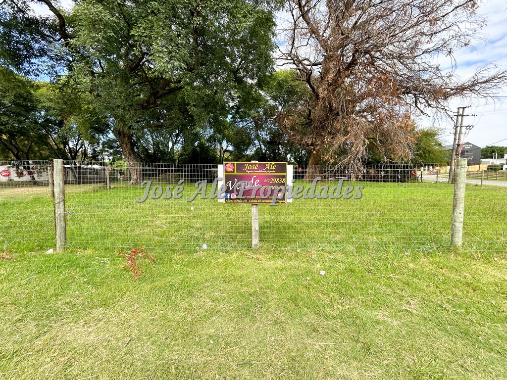 Imagen 9 de EN VENTA Terreno de 933 m2 ubicado en frente a la renovada Plaza de Toros de Colonia del Sacramento. Ideal emprendimiento o desarrollo inmobiliario!