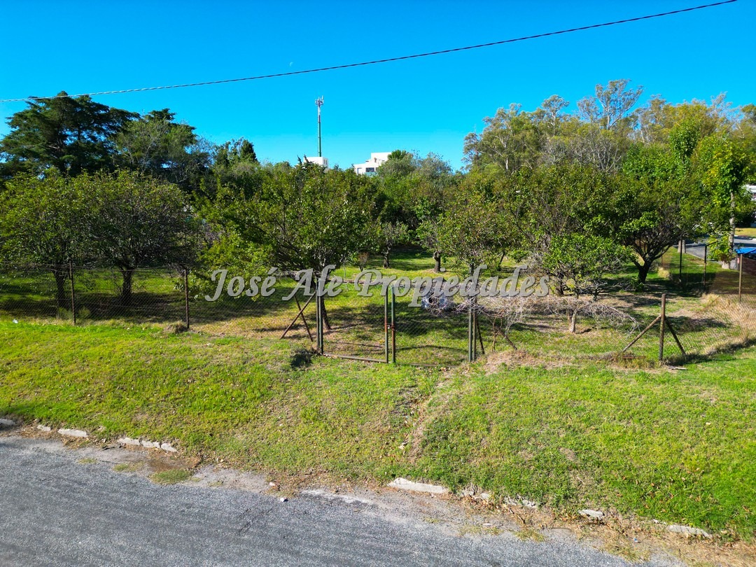 Imagen 3 de Importante esquina de 637 m2 de superficie, con frentes de 23 y 30 metros.