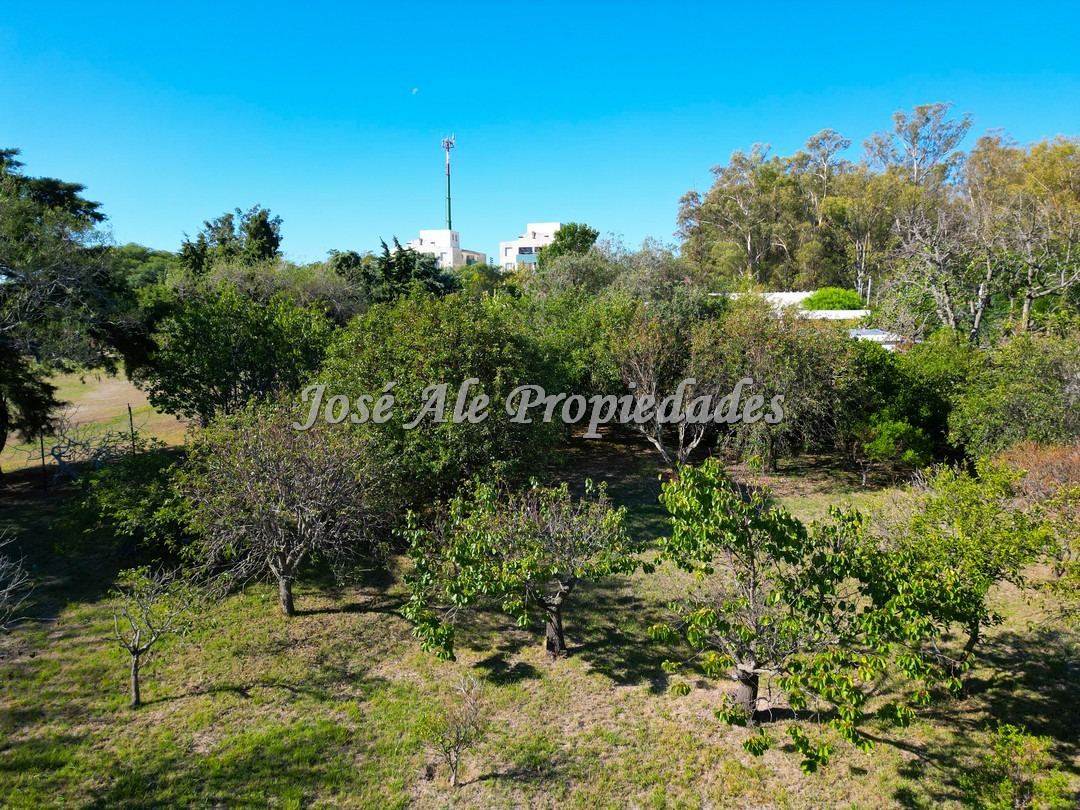 Imagen 4 de Importante esquina de 637 m2 de superficie, con frentes de 23 y 30 metros.