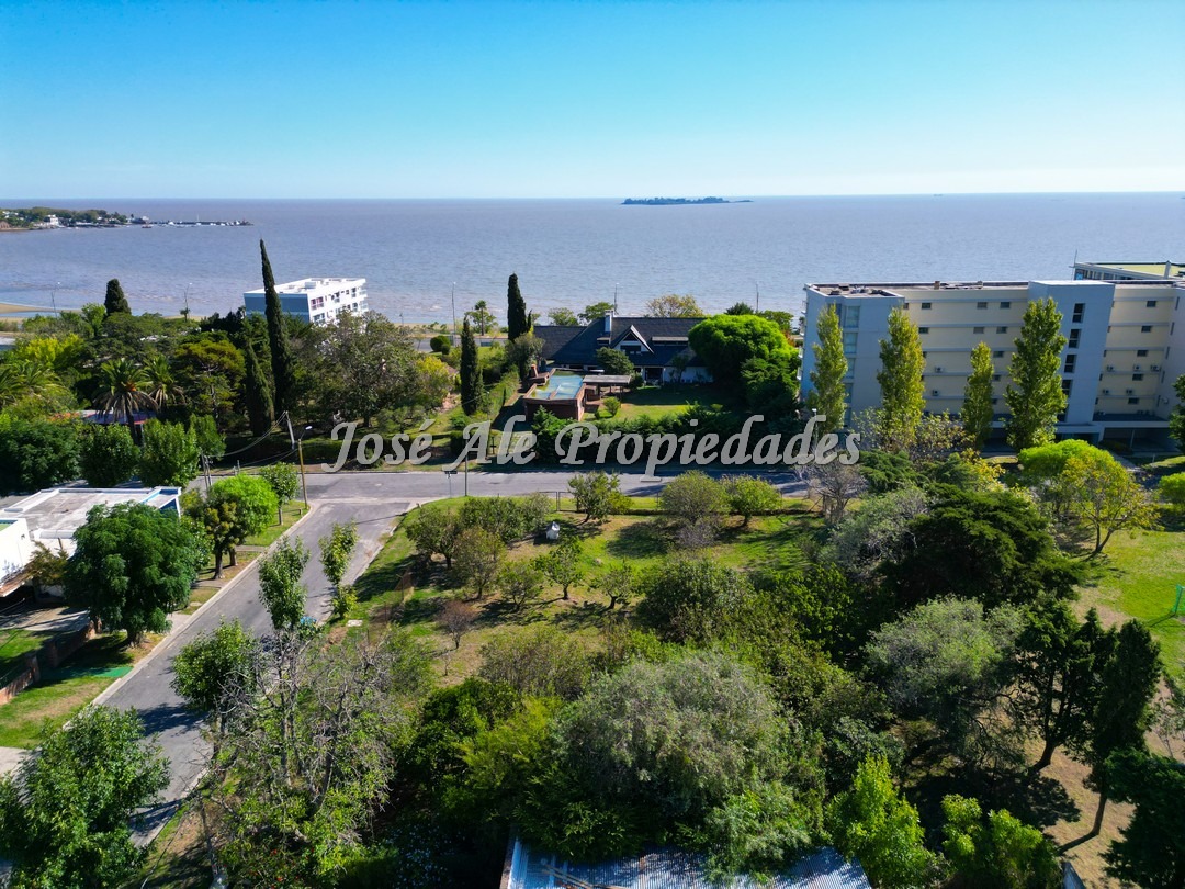 Imagen 7 de Importante esquina de 637 m2 de superficie, con frentes de 23 y 30 metros.