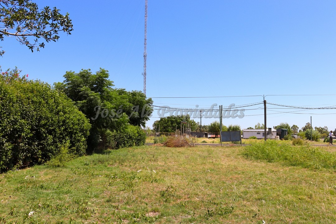 Imagen 4 de Terreno ubicado en Maestro Hemerson Klappenbach a tan solo 100 mts de la renovada Plaza de Toros, próximo a todos los servicios.