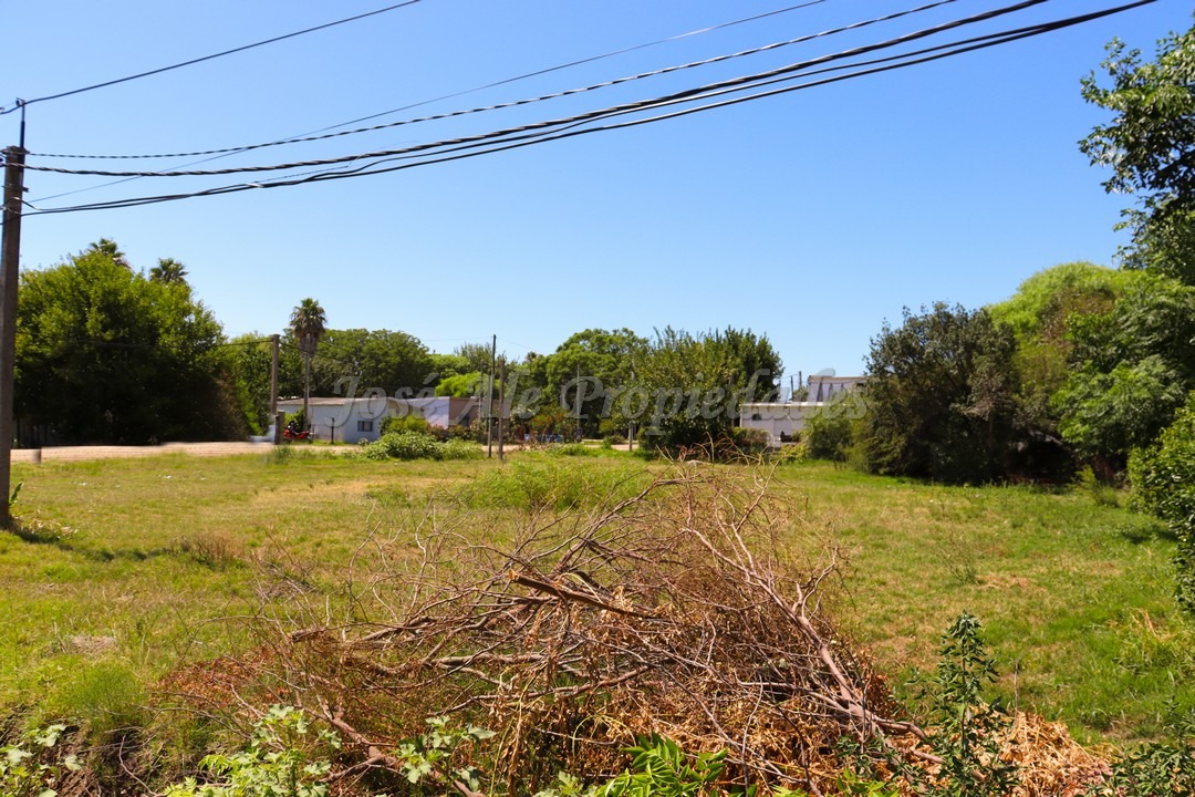 Imagen 7 de Terreno ubicado en Maestro Hemerson Klappenbach a tan solo 100 mts de la renovada Plaza de Toros, próximo a todos los servicios.