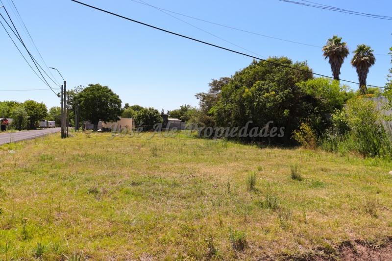 Terreno ubicado en Maestro Hemerson Klappenbach a tan solo 200 mts de la renovada Plaza de Toros, próximo a todos los servicios.