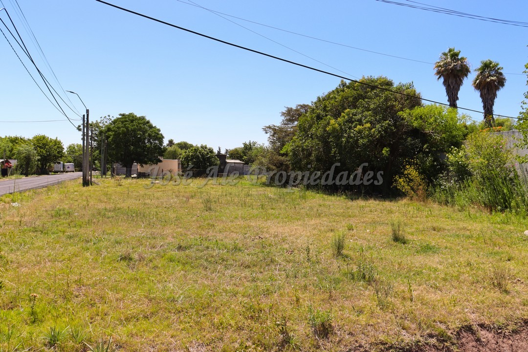 Imagen 1 de Terreno ubicado en Maestro Hemerson Klappenbach a tan solo 200 mts de la renovada Plaza de Toros, próximo a todos los servicios.