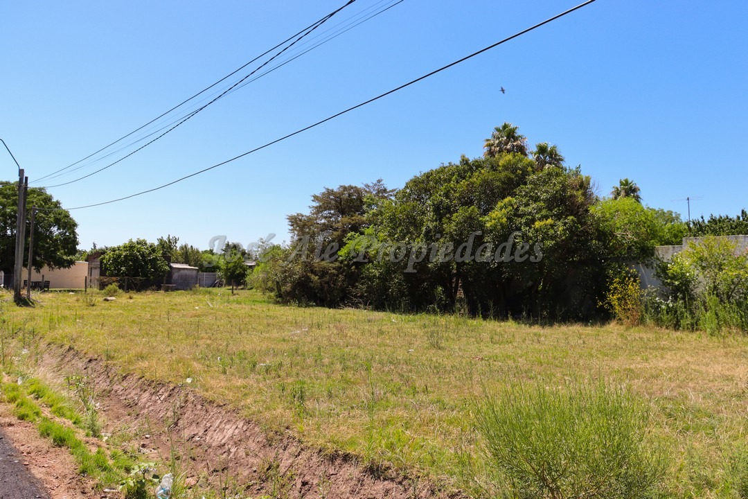 Imagen 4 de Terreno ubicado en Maestro Hemerson Klappenbach a tan solo 200 mts de la renovada Plaza de Toros, próximo a todos los servicios.
