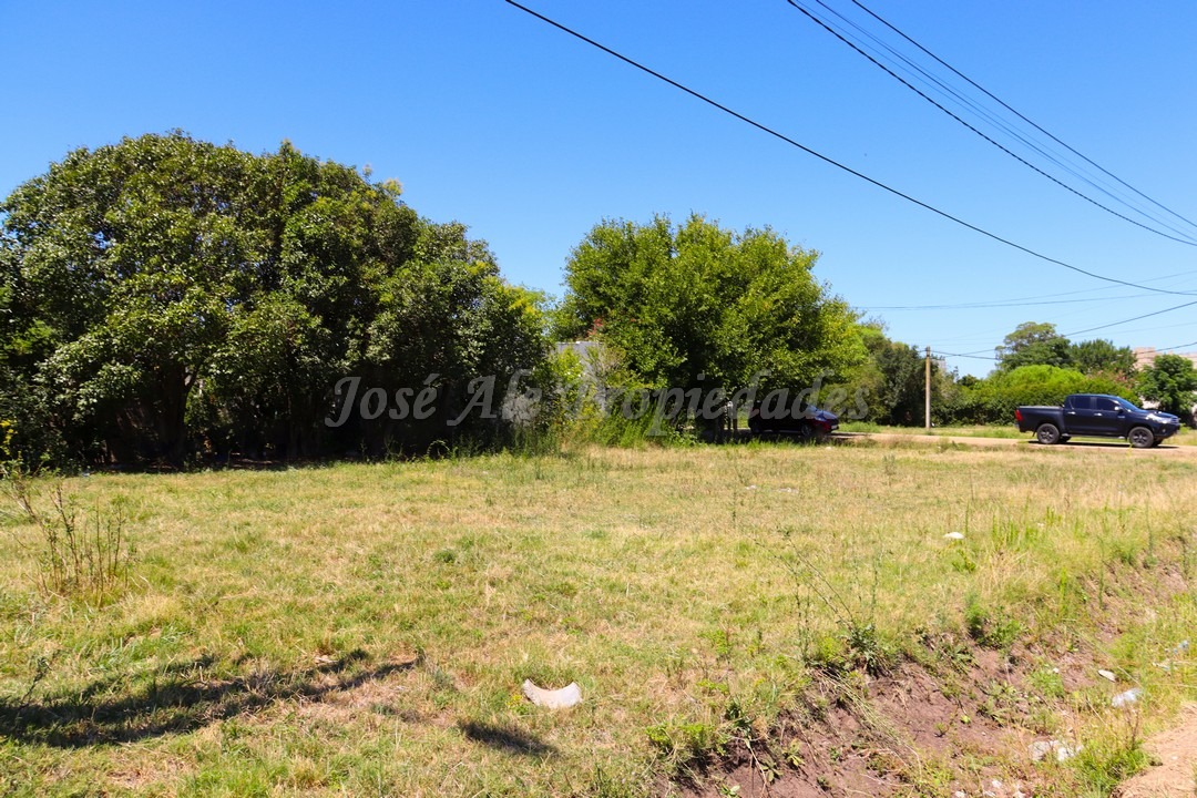 Imagen 5 de Terreno ubicado en Maestro Hemerson Klappenbach a tan solo 200 mts de la renovada Plaza de Toros, próximo a todos los servicios.