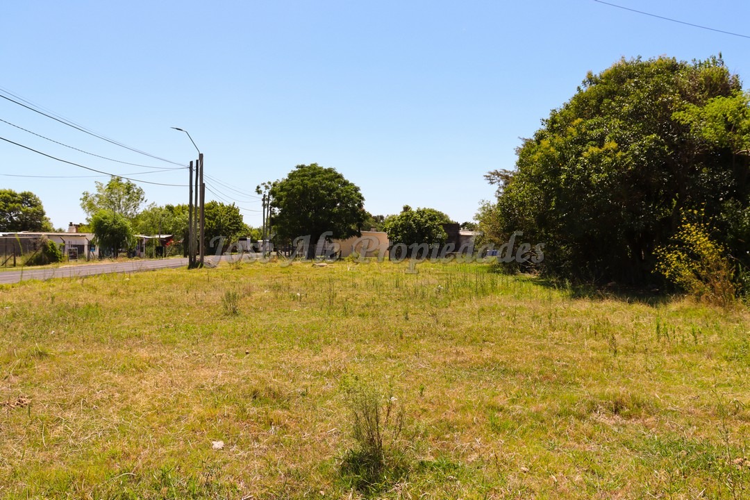 Imagen 6 de Terreno ubicado en Maestro Hemerson Klappenbach a tan solo 200 mts de la renovada Plaza de Toros, próximo a todos los servicios.