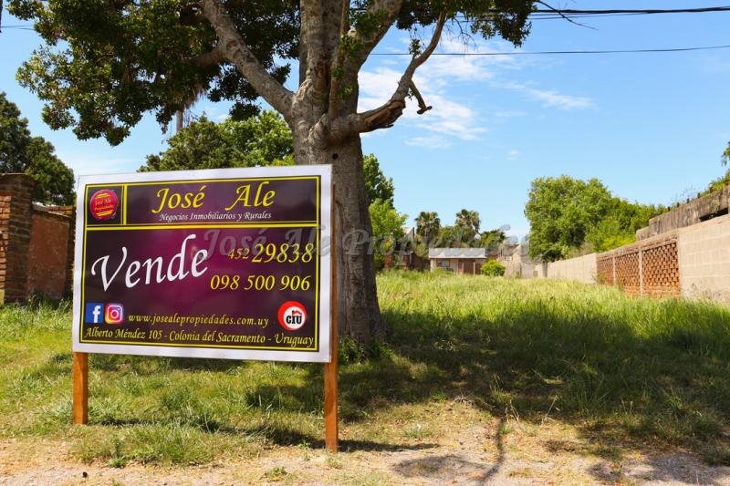 Terreno ubicado sobre la calle Eloy Peraza, a 100 mts de la Plaza de Toros.