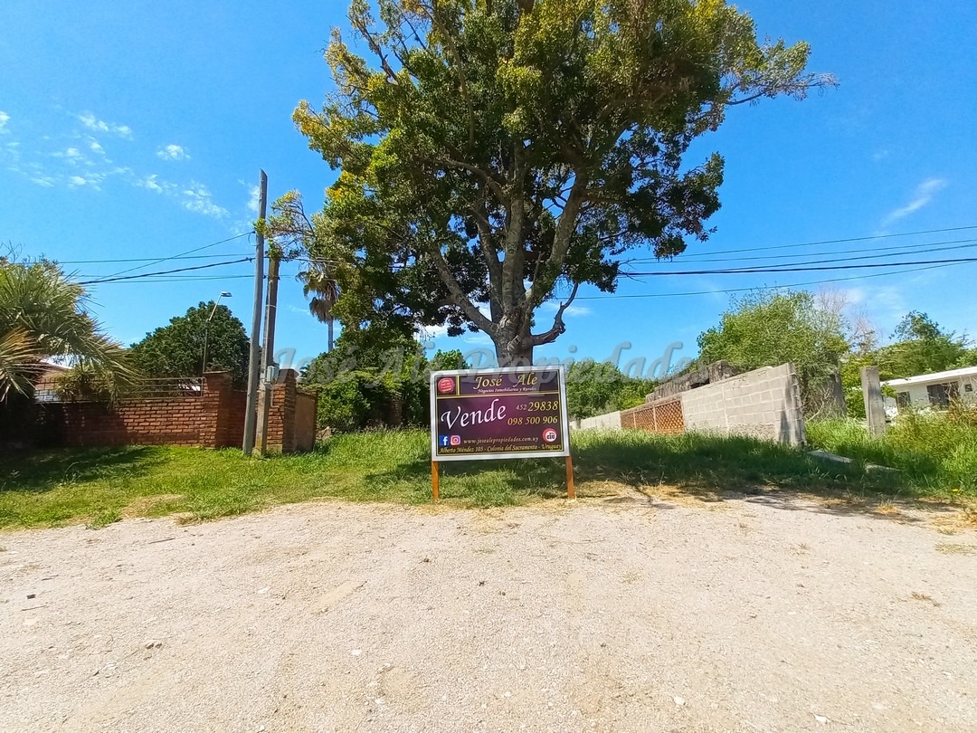 Imagen 1 de Terreno ubicado sobre la calle Eloy Peraza, a 100 mts de la Plaza de Toros.