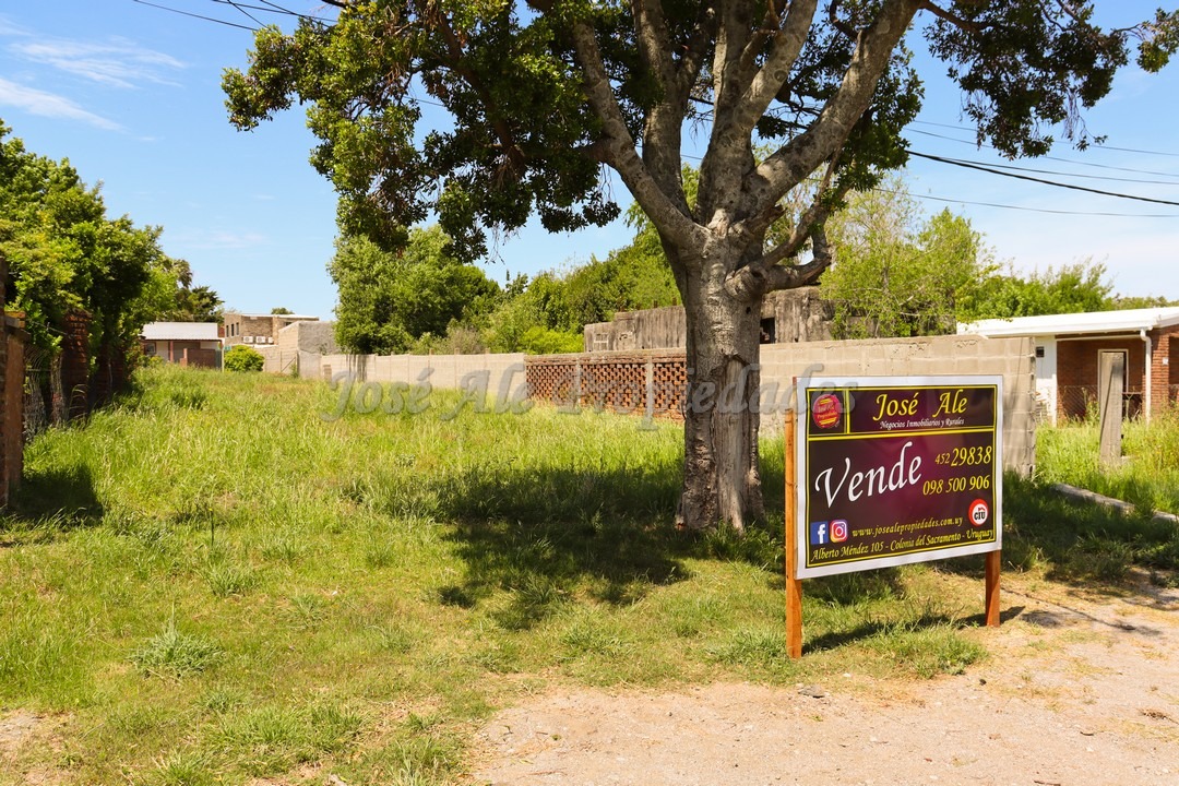 Imagen 2 de Terreno ubicado sobre la calle Eloy Peraza, a 100 mts de la Plaza de Toros.