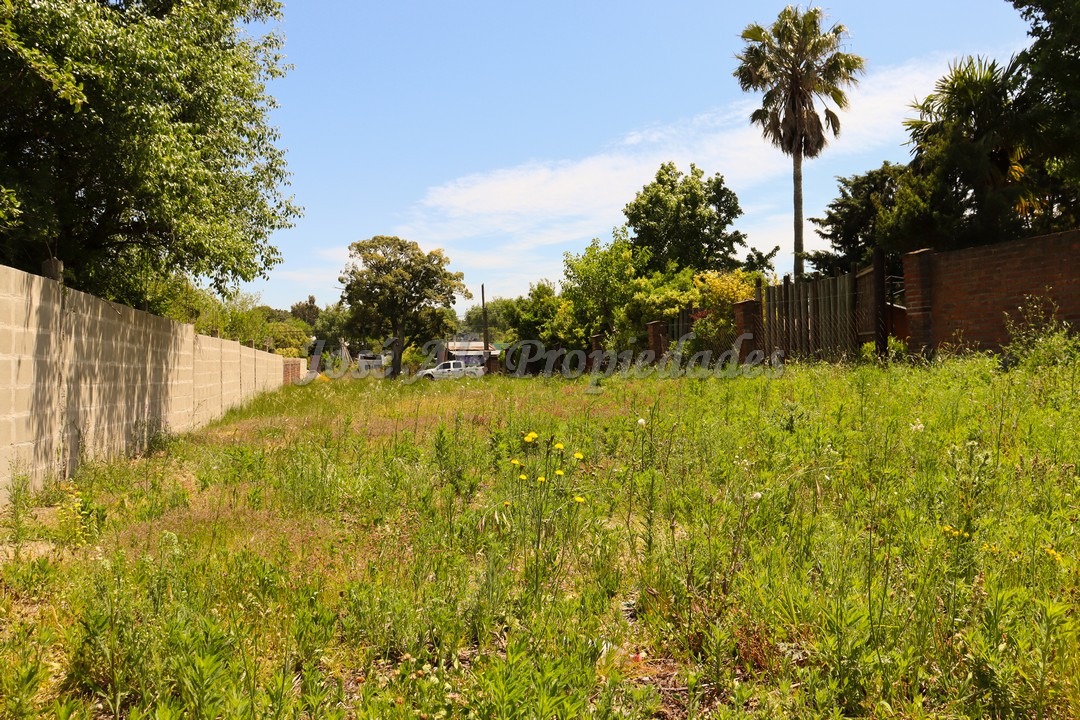 Imagen 3 de Terreno ubicado sobre la calle Eloy Peraza, a 100 mts de la Plaza de Toros.