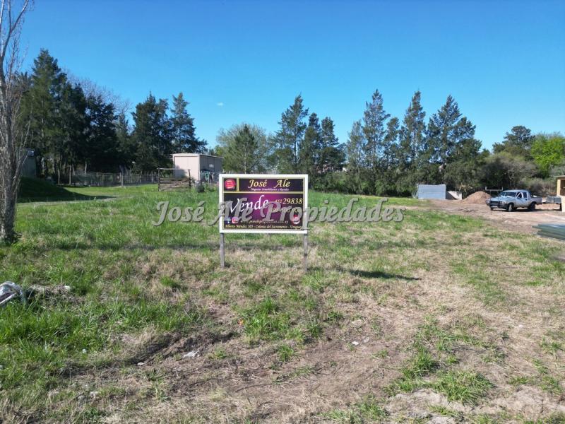 Amplio terreno de 1200 mts de superficie en hermosa y tranquila zona.