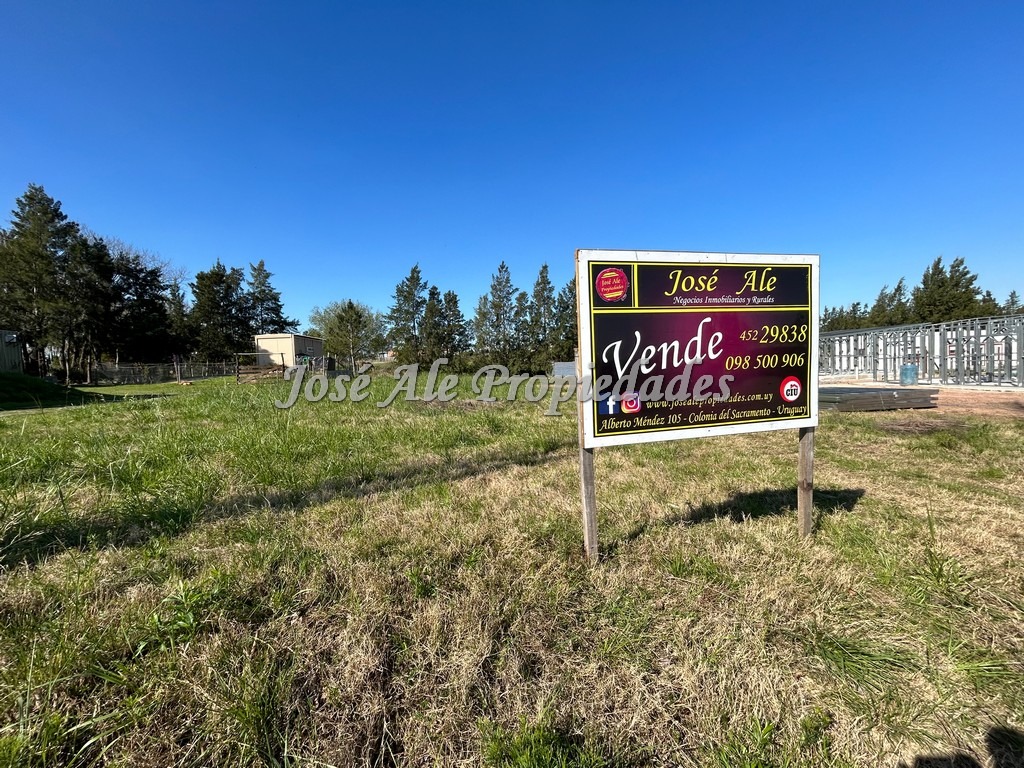 Imagen 1 de Amplio terreno de 1200 mts de superficie en hermosa y tranquila zona.