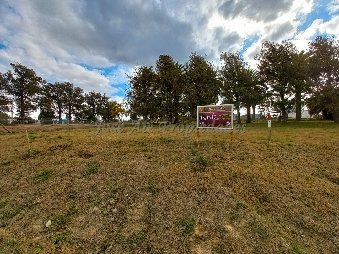 Imagen 1 de Terreno ubicado a solo pasos de la Avenida Luis Alberto de Herrera y de todos los servicios.
