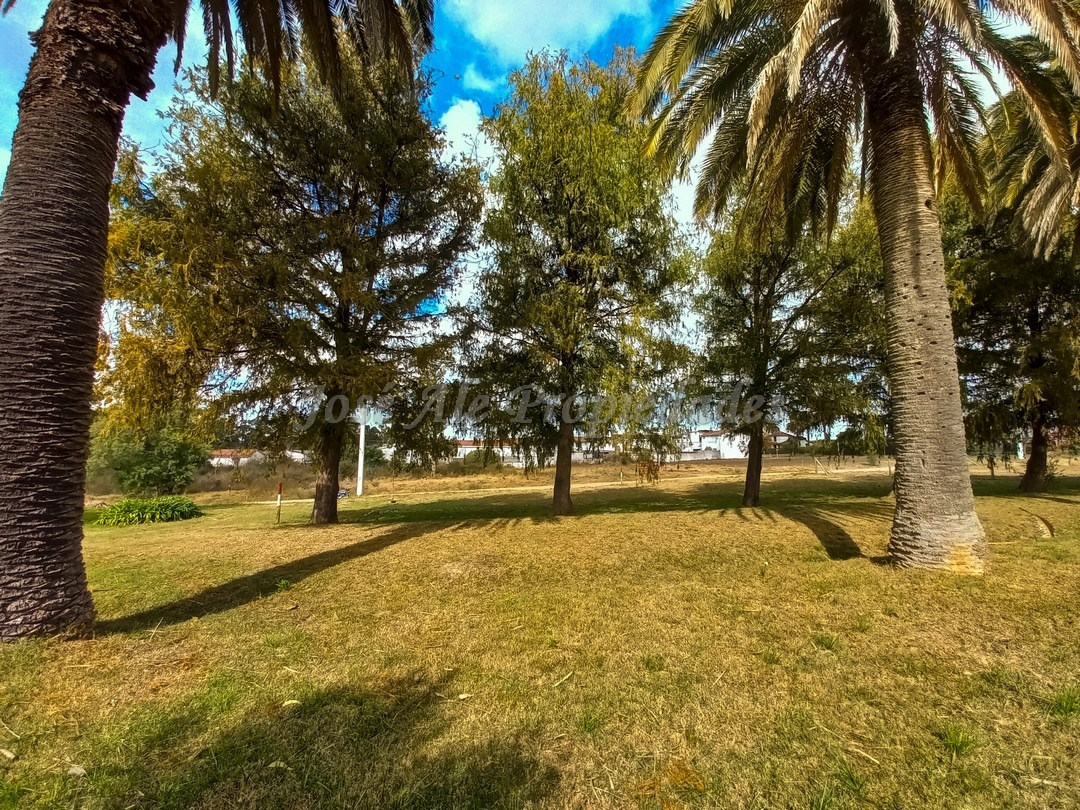 Imagen 7 de Terreno ubicado a solo pasos de la Avenida Luis Alberto de Herrera y de todos los servicios.