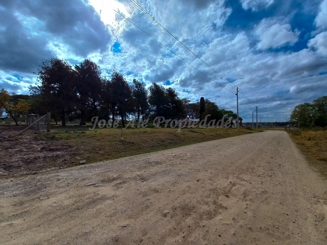 Imagen 9 de Terreno ubicado a solo pasos de la Avenida Luis Alberto de Herrera y de todos los servicios.