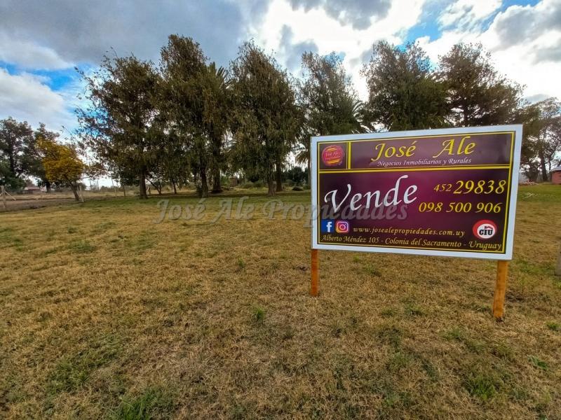 Terreno ubicado a solo pasos de la Avenida Luis Alberto de Herrera y de todos los servicios.