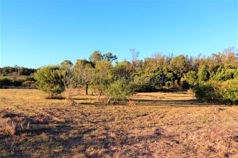 Hermosa fracción de 2 hectáreas en balneario El Ensueño, a solo 500 metros de la playa.