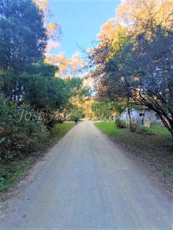 Imagen 4 de Hermosa fracción de 2 hectáreas en balneario El Ensueño, a solo 500 metros de la playa.