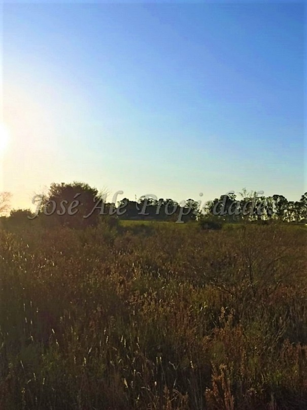 Imagen 5 de Hermosa fracción de 2 hectáreas en balneario El Ensueño, a solo 500 metros de la playa.