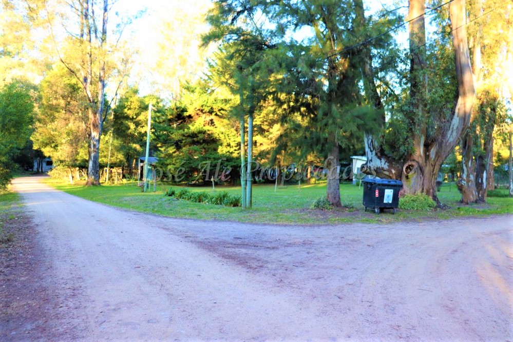 Imagen 6 de Hermosa fracción de 2 hectáreas en balneario El Ensueño, a solo 500 metros de la playa.