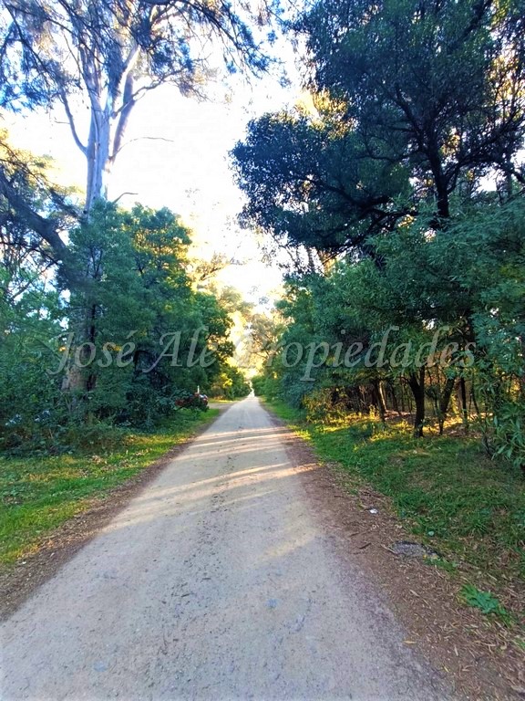 Imagen 7 de Hermosa fracción de 2 hectáreas en balneario El Ensueño, a solo 500 metros de la playa.