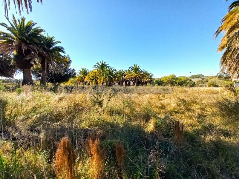 Oportunidad terrenos en altura y nivelados, en zona de pleno desarrollo, en barrio San Benito.