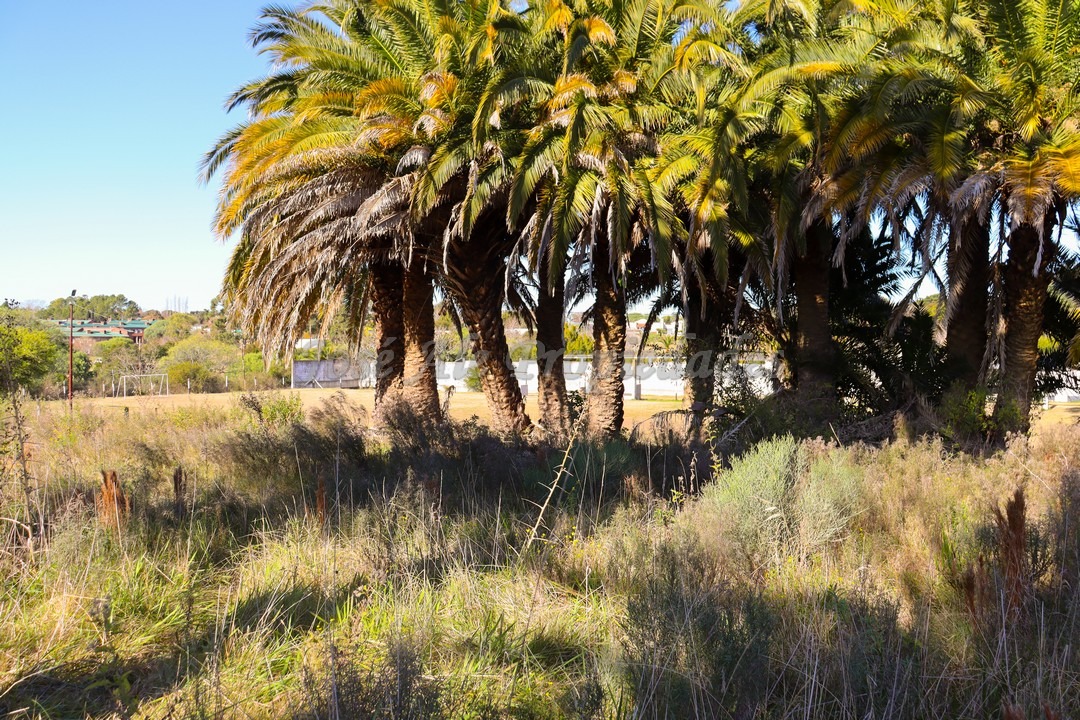 Imagen 10 de Oportunidad terrenos en altura y nivelados, en zona de pleno desarrollo, en barrio San Benito.