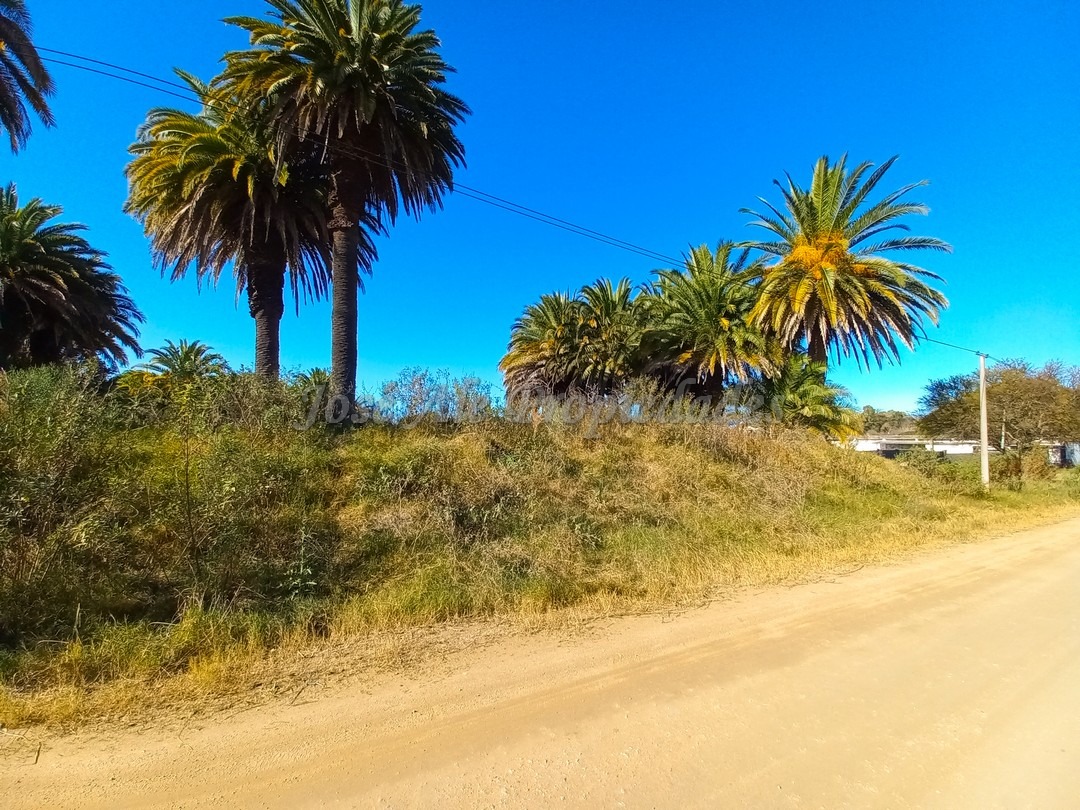 Imagen 2 de Oportunidad terrenos en altura y nivelados, en zona de pleno desarrollo, en barrio San Benito.