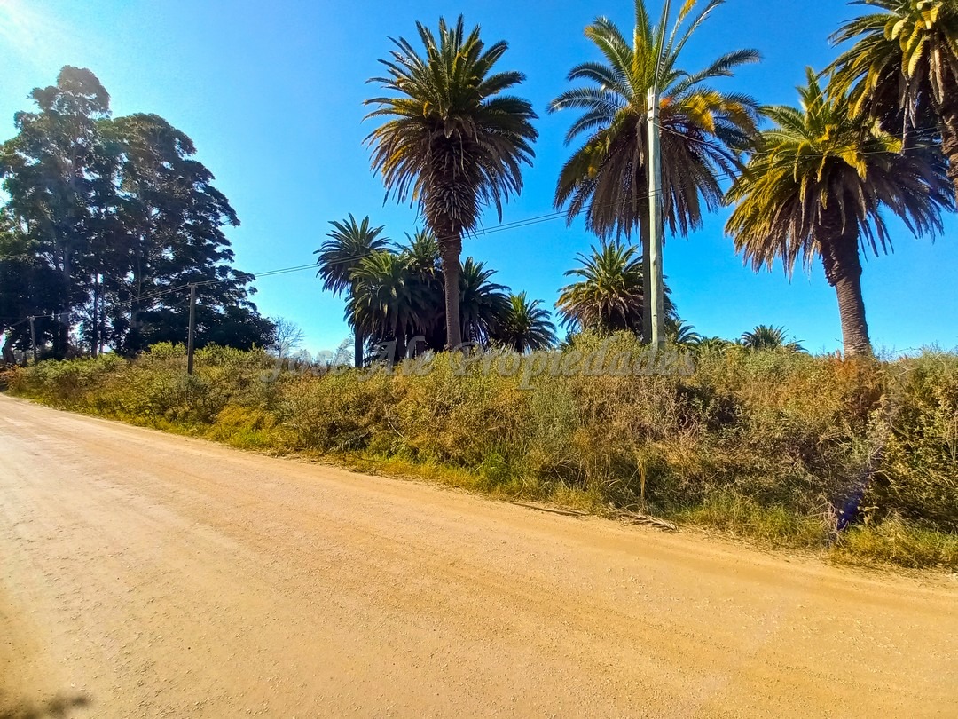 Imagen 3 de Oportunidad terrenos en altura y nivelados, en zona de pleno desarrollo, en barrio San Benito.