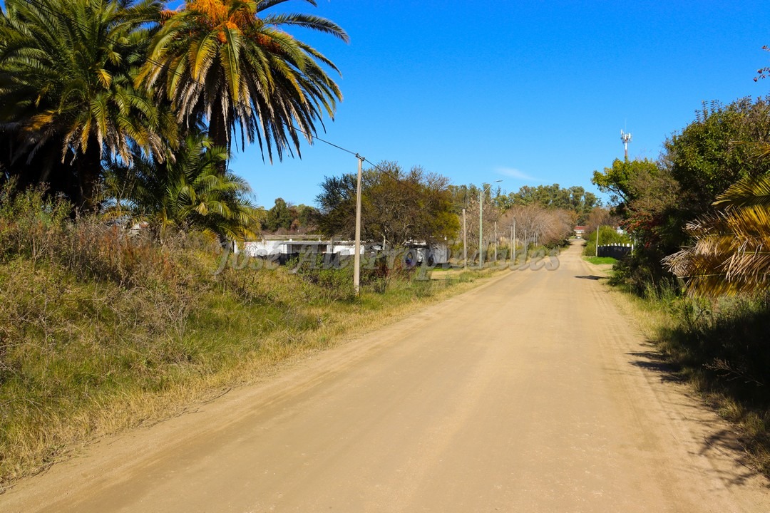 Imagen 6 de Oportunidad terrenos en altura y nivelados, en zona de pleno desarrollo, en barrio San Benito.