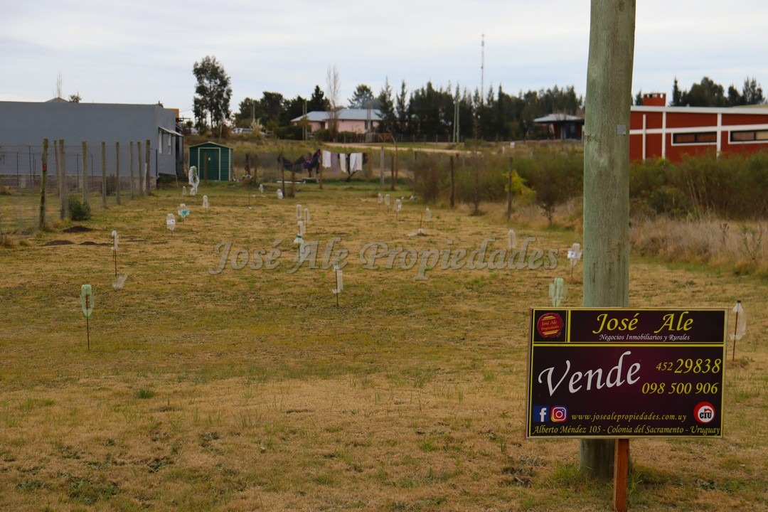 Imagen 10 de Hermoso terreno de 536 m2 con 12 metros de frente, nivelado pronto para construir, se encuentra ubicado en fraccionamiento Altos de San Carlos.