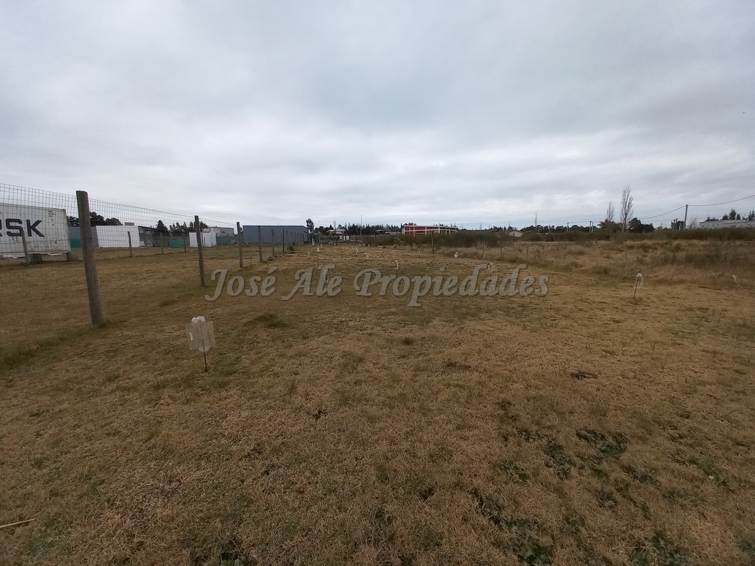 Imagen 7 de Hermoso terreno de 536 m2 con 12 metros de frente, nivelado pronto para construir, se encuentra ubicado en fraccionamiento Altos de San Carlos.