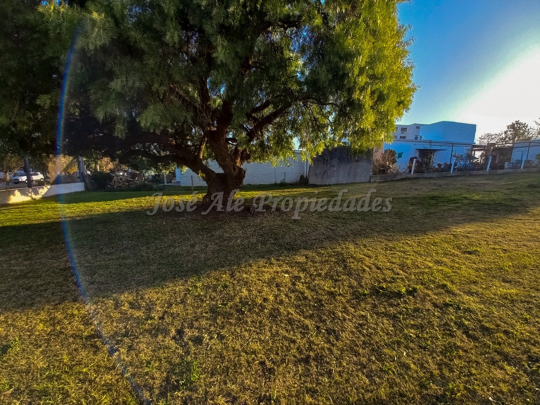 Imagen 2 de mplio terreno ubicados sobre calle Paul Harris a metros de rambla costanera y playas de Colonia del Sacramento, y a solo pasos de la Avenida Luis Alberto de Herrera y de todos los servicios.