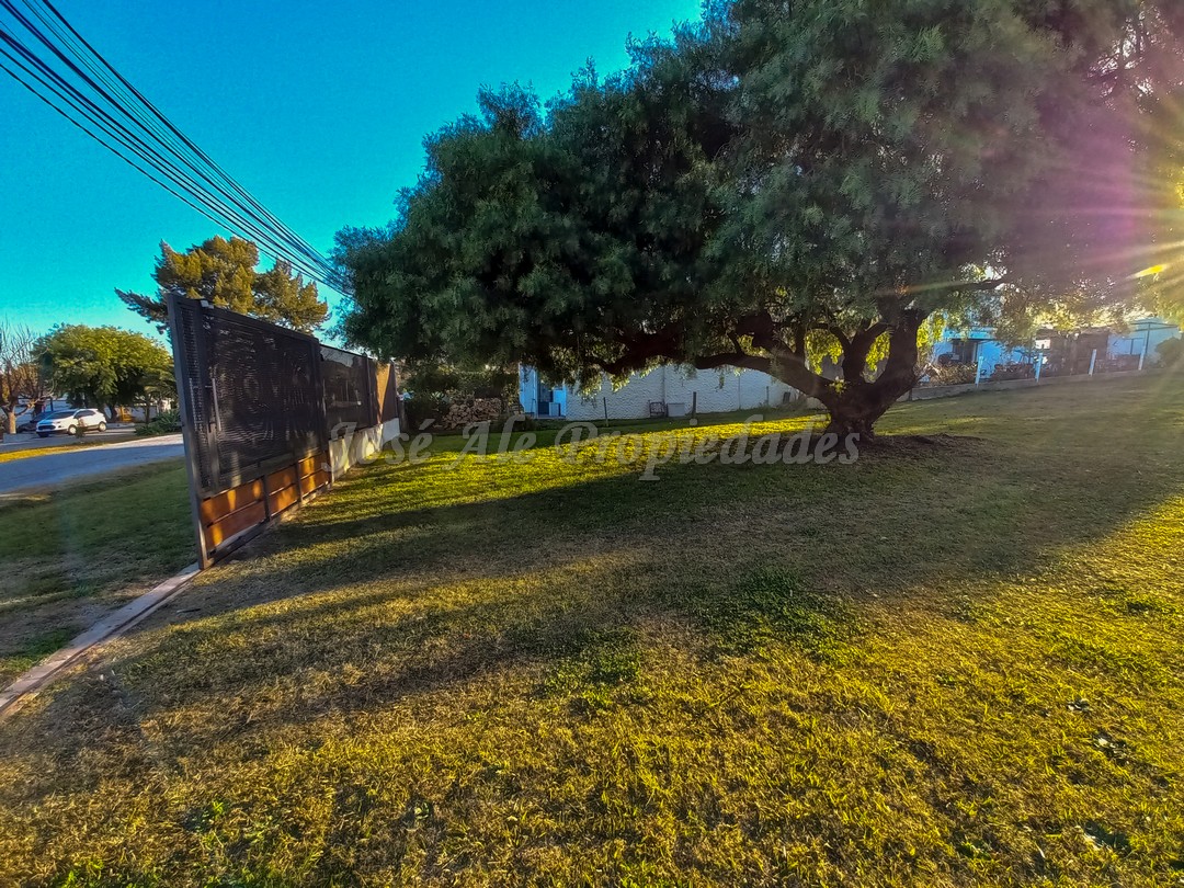 Imagen 3 de mplio terreno ubicados sobre calle Paul Harris a metros de rambla costanera y playas de Colonia del Sacramento, y a solo pasos de la Avenida Luis Alberto de Herrera y de todos los servicios.