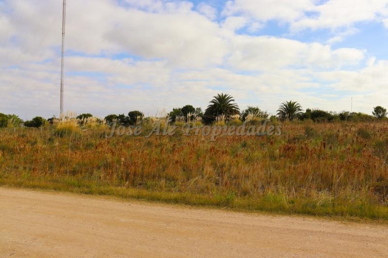 Fraccionamiento en Real de San Carlos.