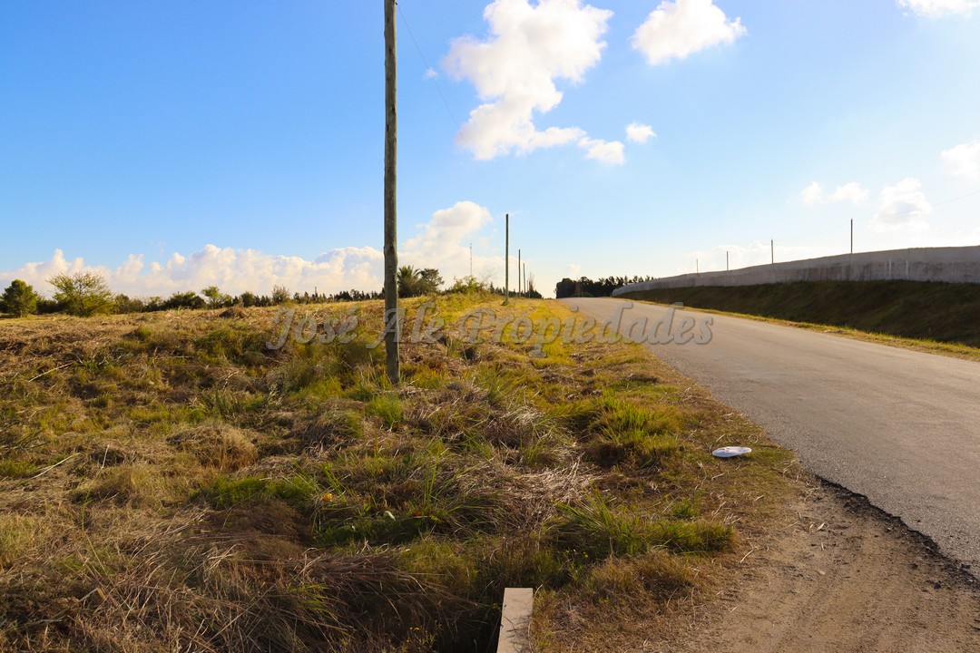 Imagen 6 de Fraccionamiento en Real de San Carlos.