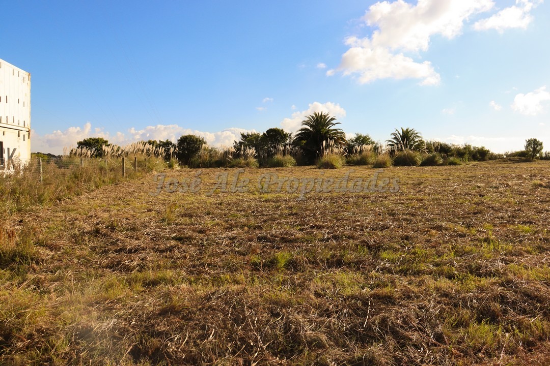 Imagen 8 de Fraccionamiento en Real de San Carlos.