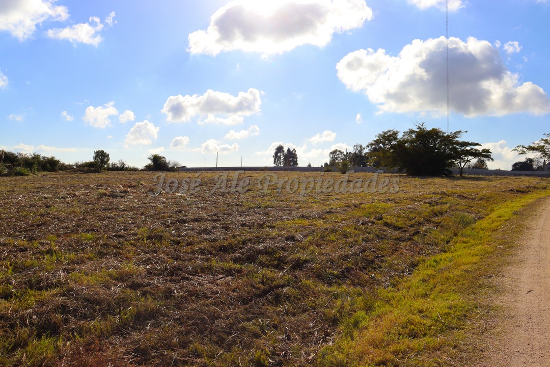 Imagen 9 de Fraccionamiento en Real de San Carlos.