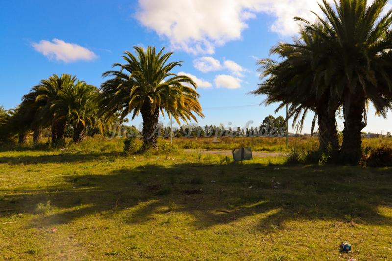 Terreno ubicado en fraccionamiento Los Patos.