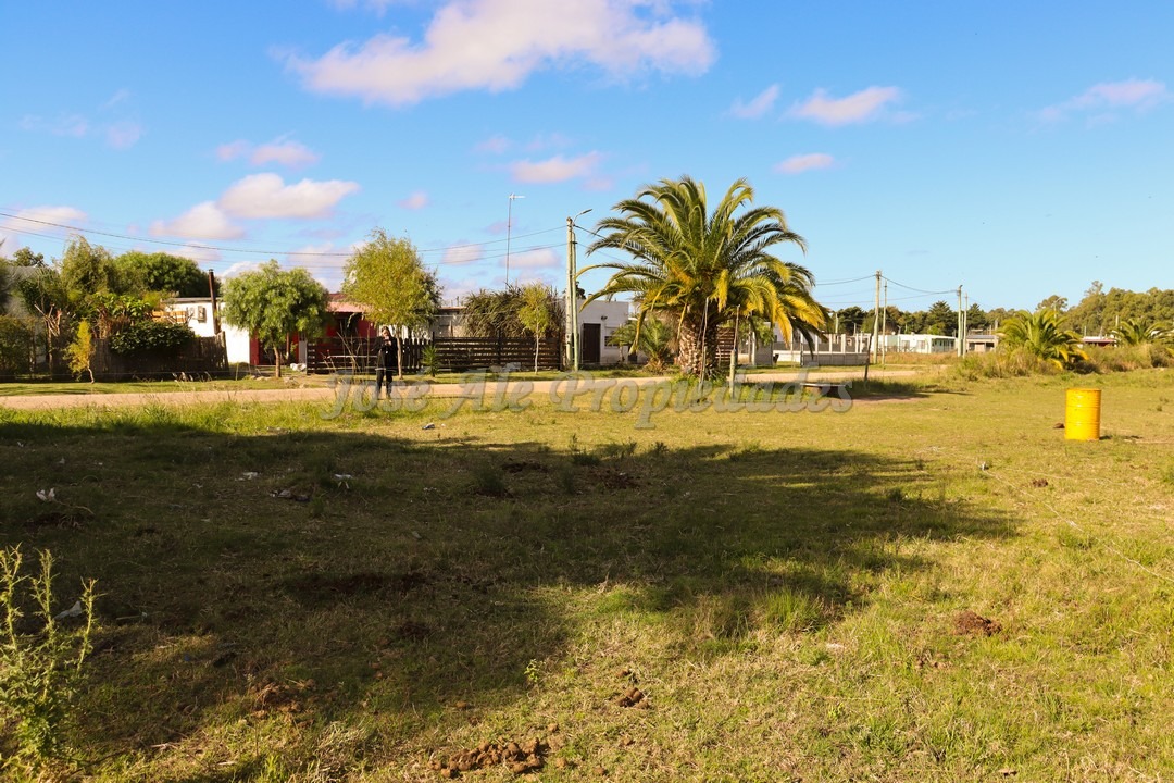 Imagen 1 de Terreno ubicado en fraccionamiento Los Patos.