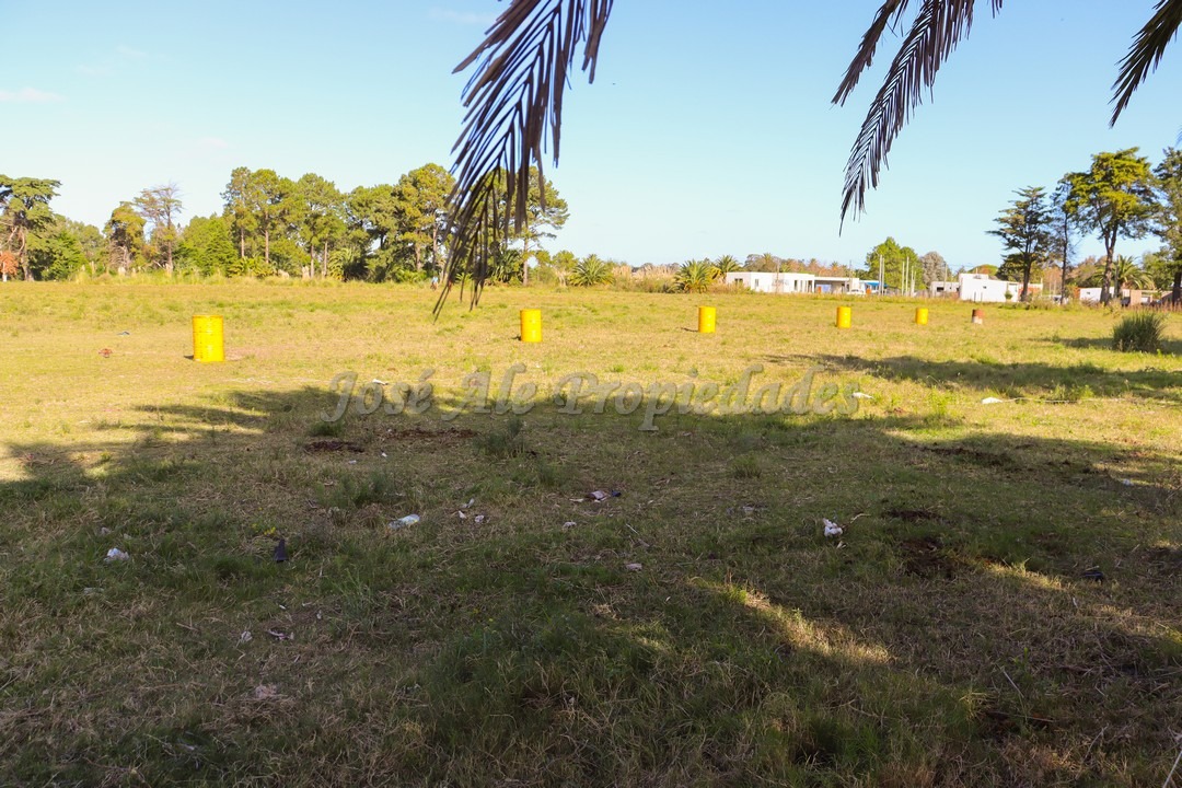 Imagen 4 de Terreno ubicado en fraccionamiento Los Patos.