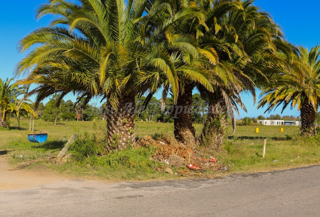 Imagen 5 de Terreno ubicado en fraccionamiento Los Patos.