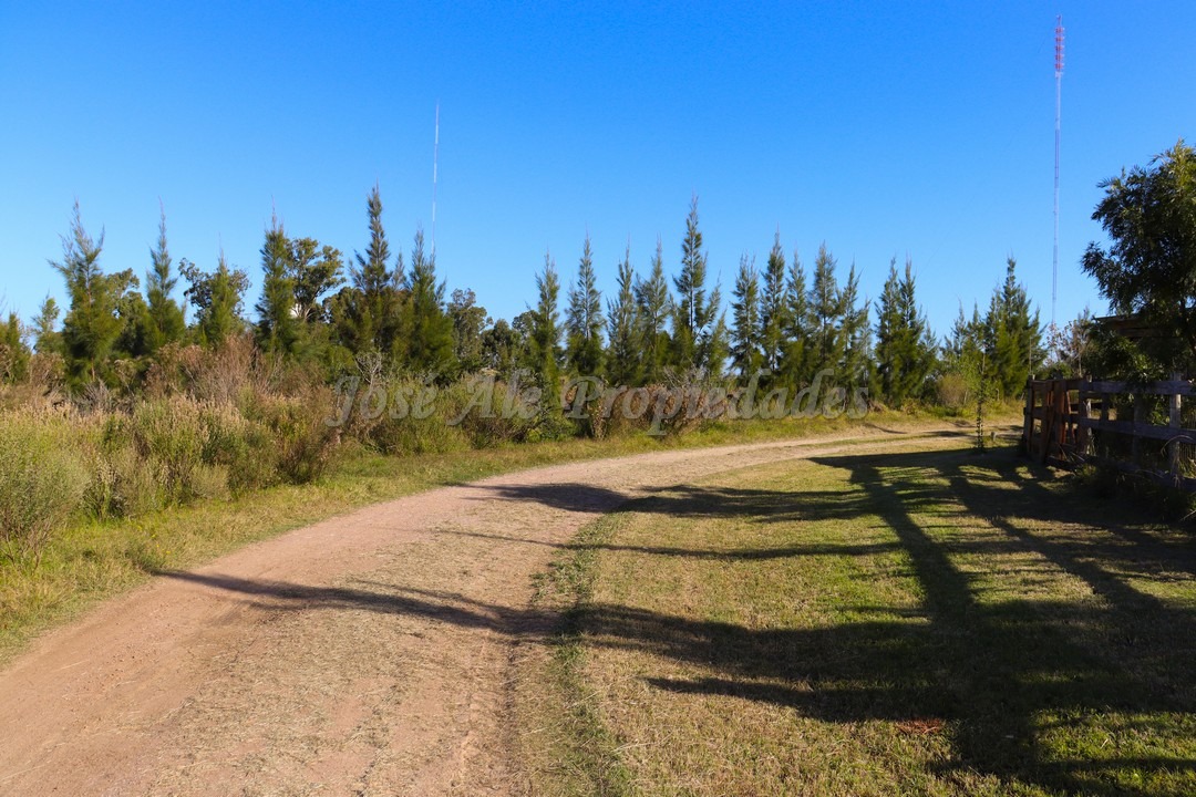 Imagen 7 de Hermoso terreno despejado, rodeado de naturaleza.