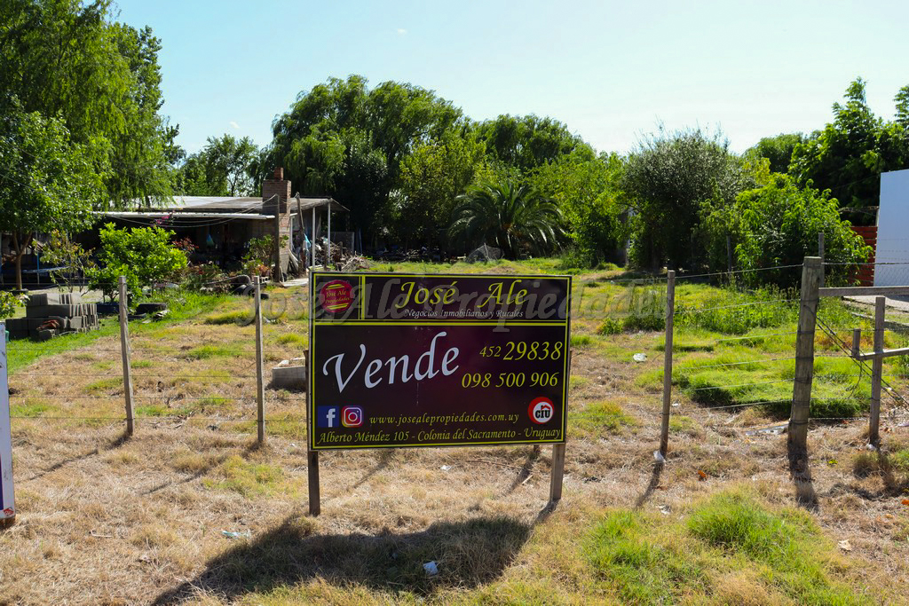 Imagen 1 de Extenso terreno de 600 m2 con 12mts de frente Terreno.