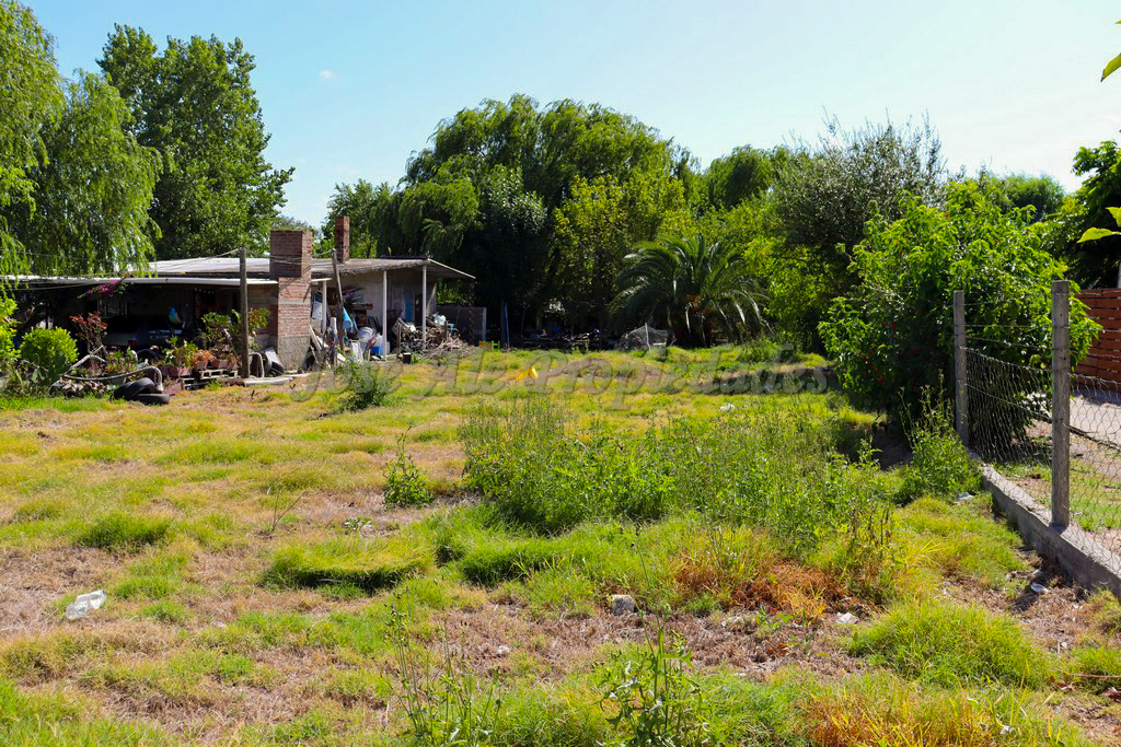 Imagen 2 de Extenso terreno de 600 m2 con 12mts de frente Terreno.