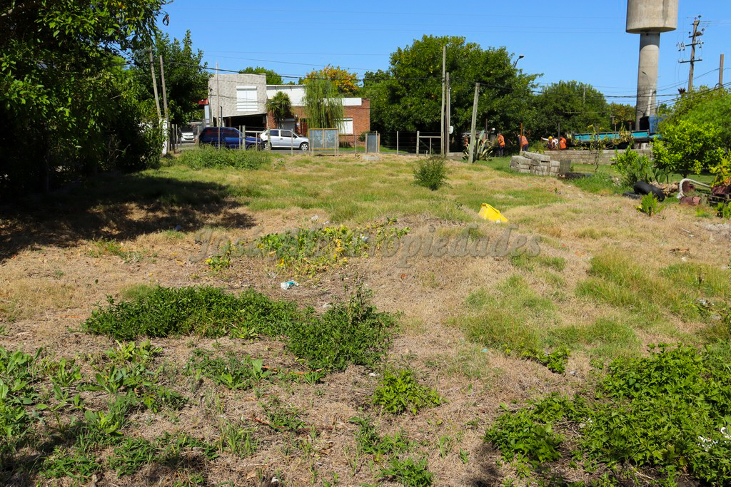 Imagen 4 de Extenso terreno de 600 m2 con 12mts de frente Terreno.