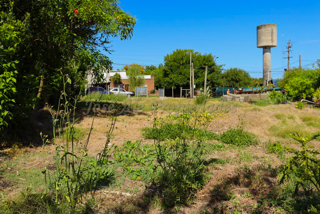 Imagen 5 de Extenso terreno de 600 m2 con 12mts de frente Terreno.