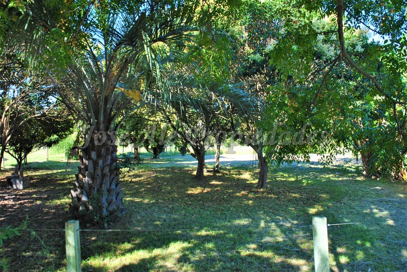 Imagen 1 de Hermoso terreno de fácil acceso a 100m de ruta 1 y a 10 minutos del centro de la ciudad de Colonia.