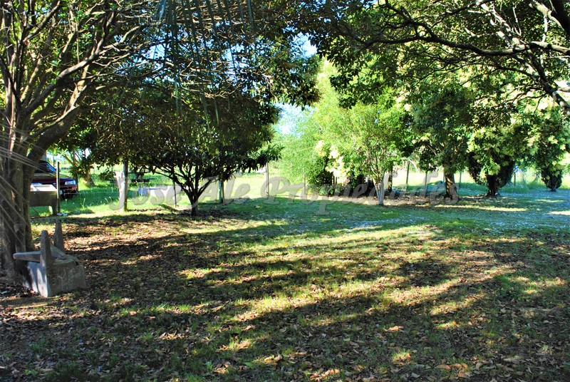 Imagen 6 de Hermoso terreno de fácil acceso a 100m de ruta 1 y a 10 minutos del centro de la ciudad de Colonia.